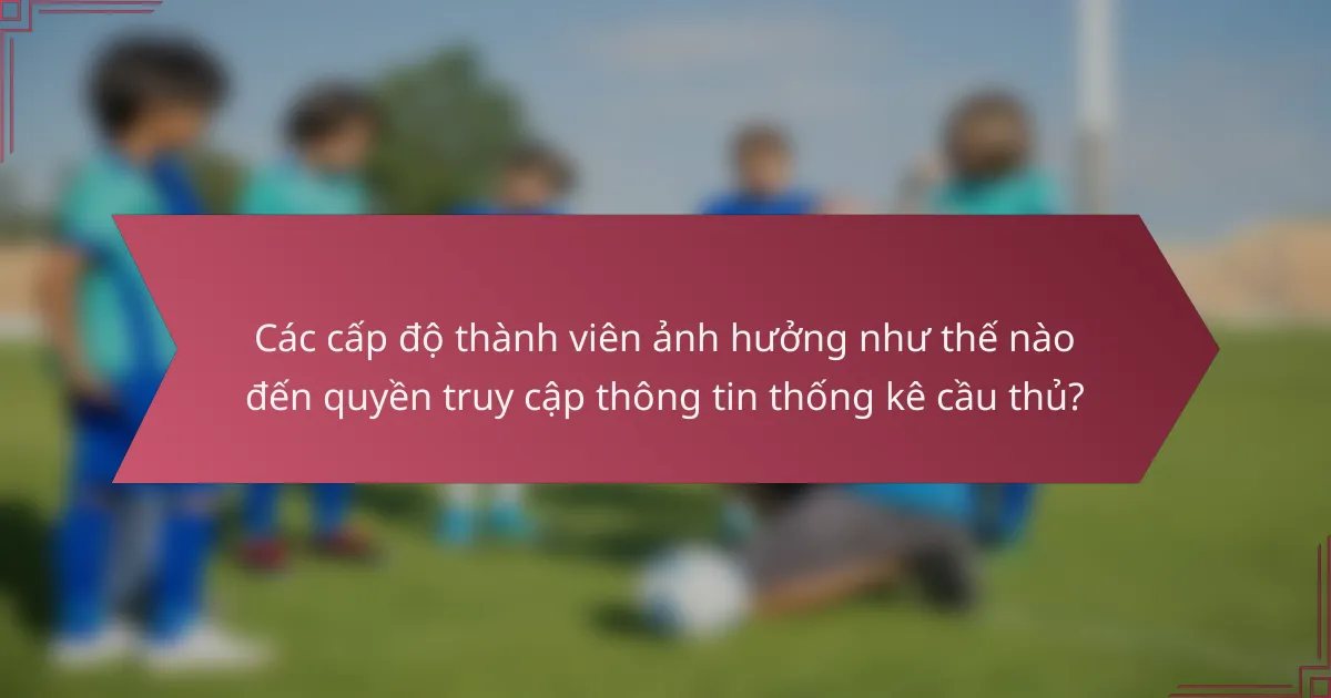 Các cấp độ thành viên ảnh hưởng như thế nào đến quyền truy cập thông tin thống kê cầu thủ?