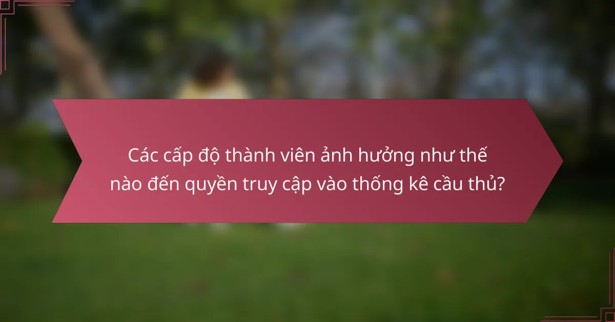 Các cấp độ thành viên ảnh hưởng như thế nào đến quyền truy cập vào thống kê cầu thủ?