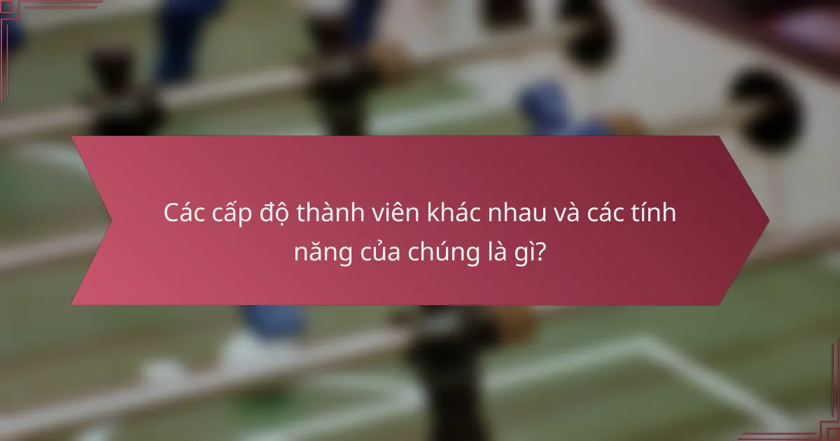 Các cấp độ thành viên khác nhau và các tính năng của chúng là gì?