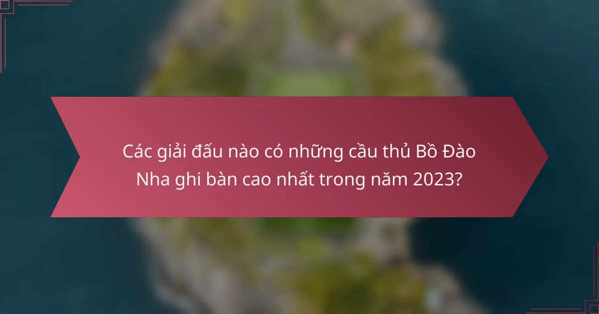 Các giải đấu nào có những cầu thủ Bồ Đào Nha ghi bàn cao nhất trong năm 2023?