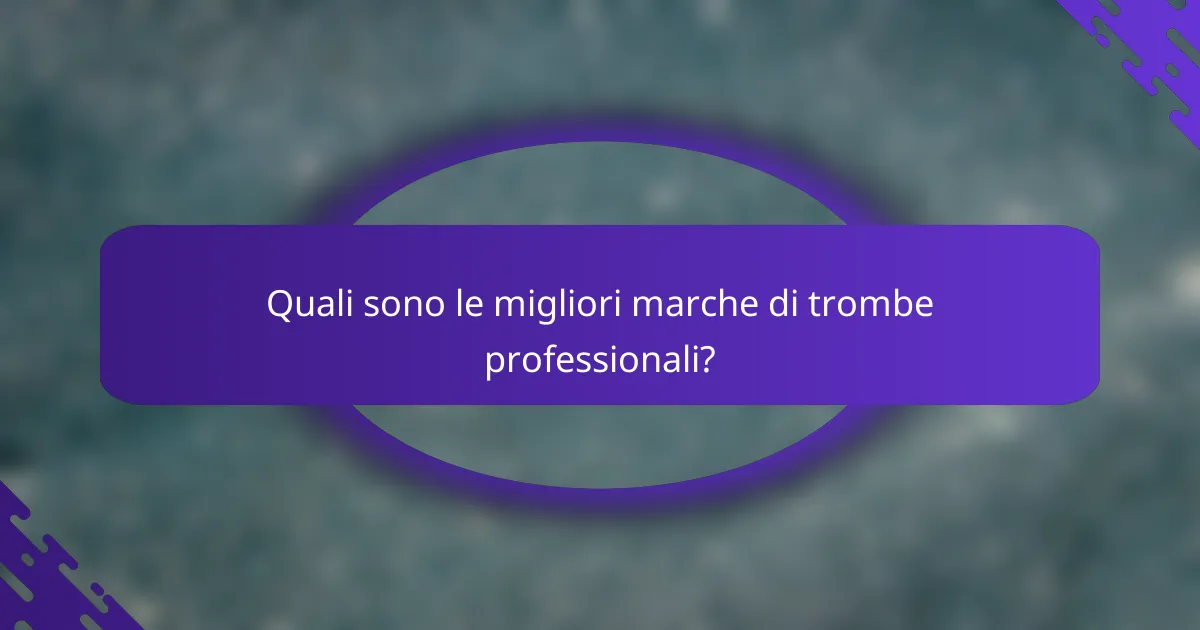 Quali sono le migliori marche di trombe professionali?