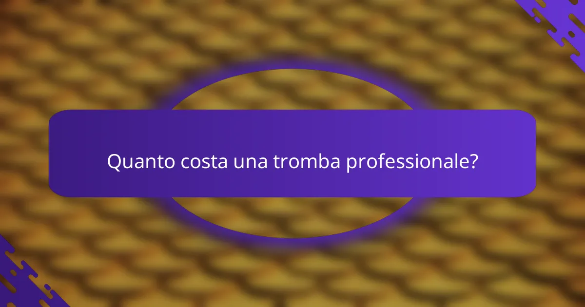 Quanto costa una tromba professionale?